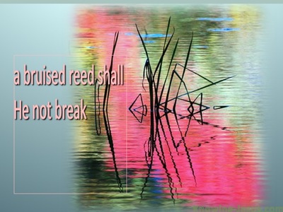 Matthew 12:20 A Bruised Reed He Will Not Break (aqua)